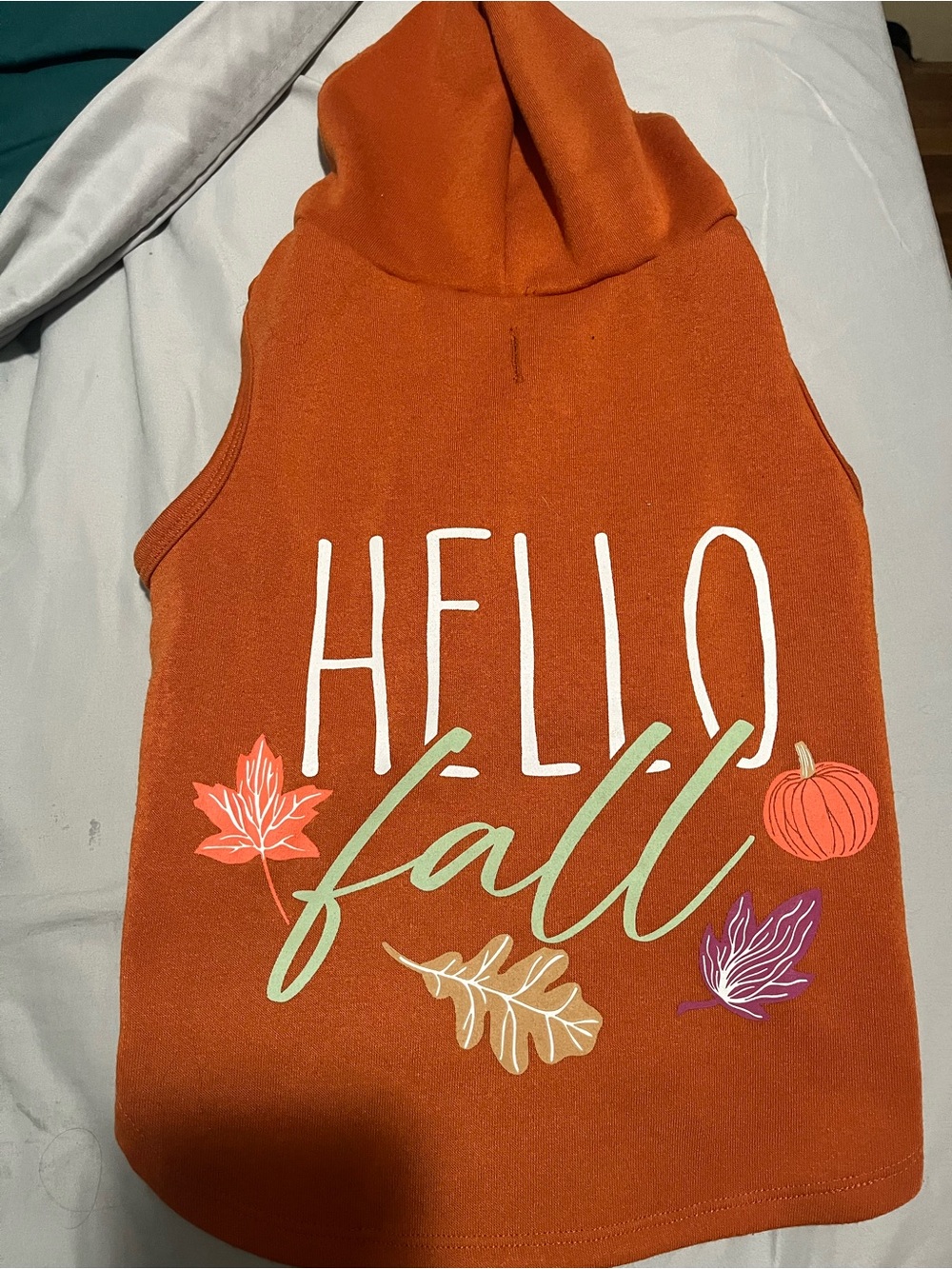Orange "Hello Fall" Dog Sweater